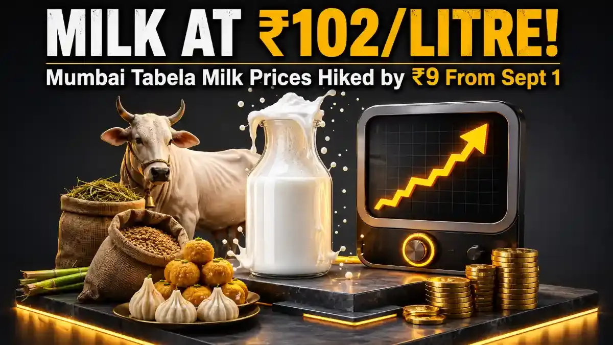 Mumbai Milk Price Hike: Tabela Milk to Cost ₹102/Litre From Sept 1 - Maharashtra